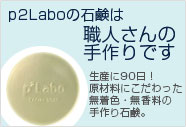 p2Labo�Υ��顼���������и��Ͽ��ͤ���μ���Ǥ�
